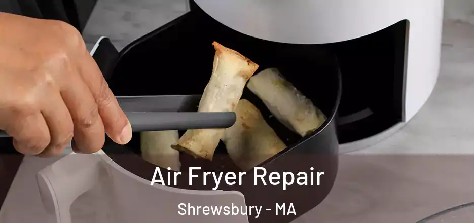  Air Fryer Repair Shrewsbury - MA