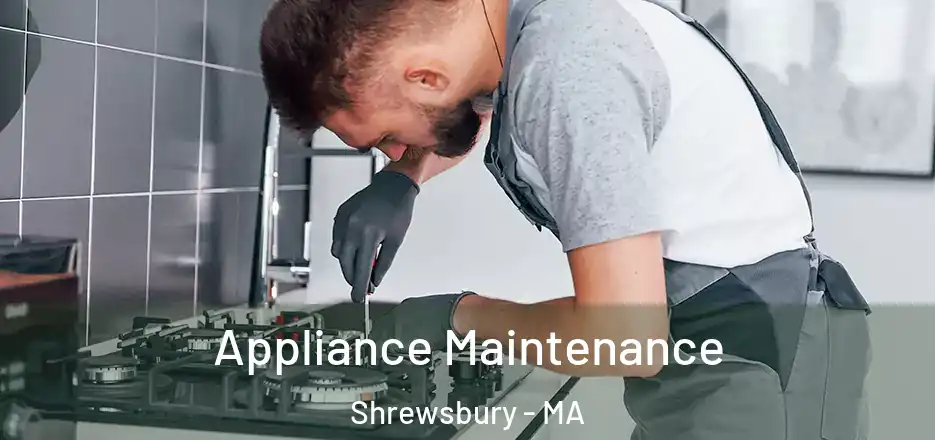 Appliance Maintenance Shrewsbury - MA