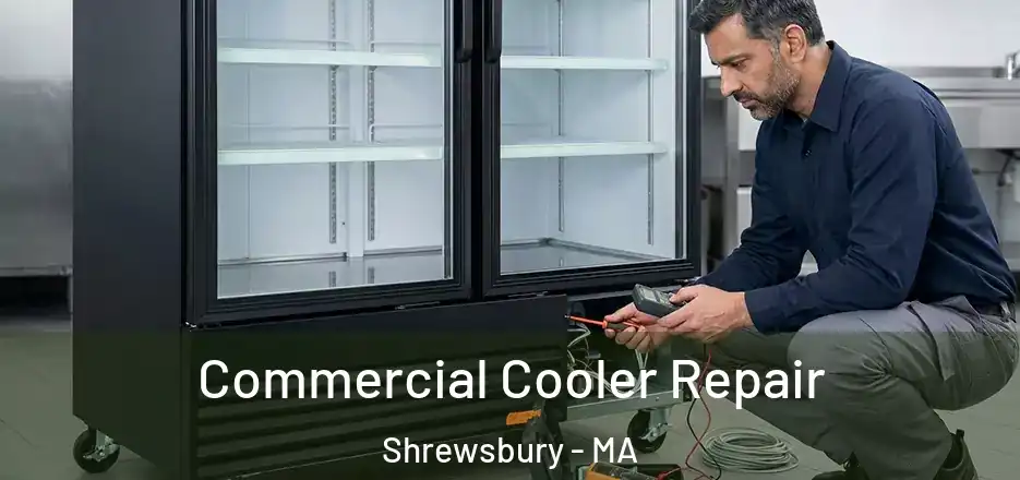 Commercial Cooler Repair Shrewsbury - MA