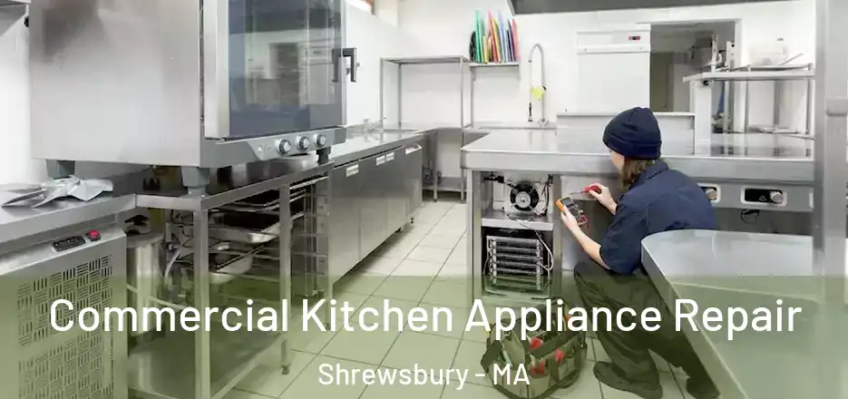 Commercial Kitchen Appliance Repair Shrewsbury - MA