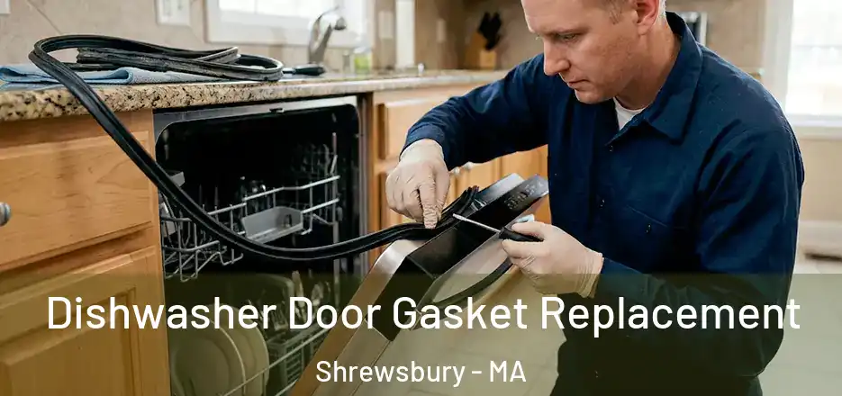 Dishwasher Door Gasket Replacement Shrewsbury - MA