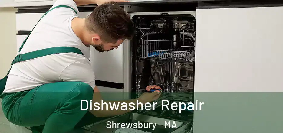 Dishwasher Repair Shrewsbury - MA