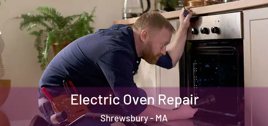 Electric Oven Repair Shrewsbury - MA