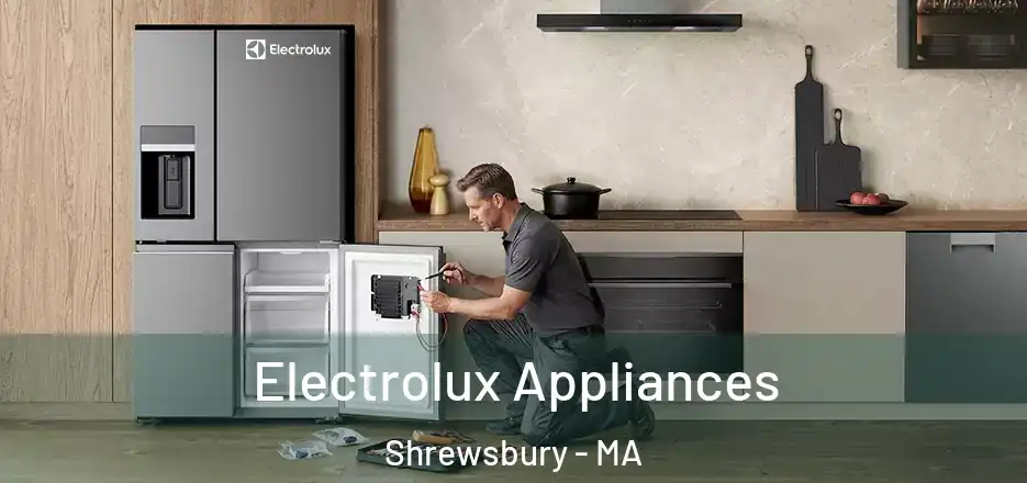 Electrolux Appliances Shrewsbury - MA