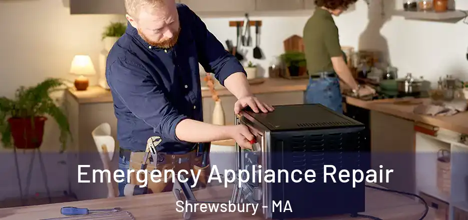 Emergency Appliance Repair Shrewsbury - MA