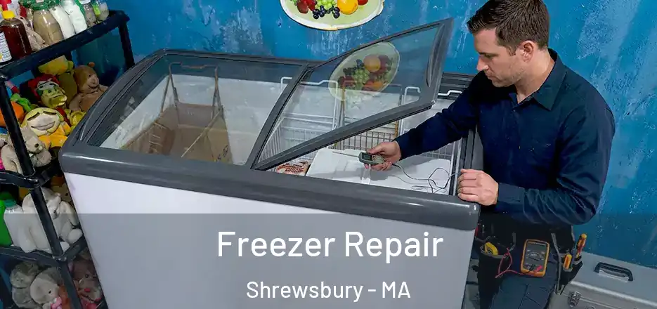 Freezer Repair Shrewsbury - MA