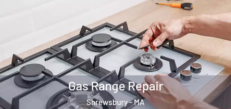 Gas Range Repair Shrewsbury - MA