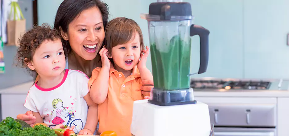 Juicer and Mixer Blender Repair in Shrewsbury