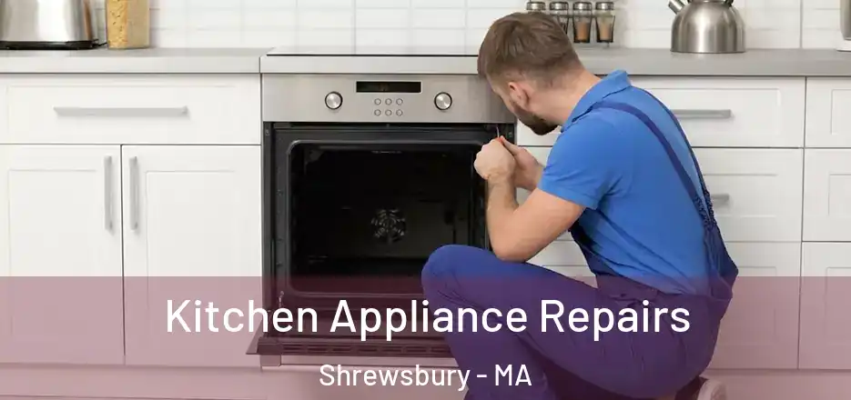 Kitchen Appliance Repairs Shrewsbury - MA