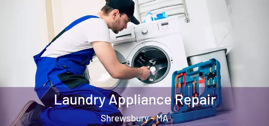 Laundry Appliance Repair Shrewsbury - MA