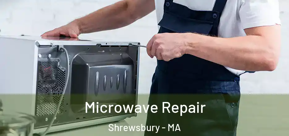 Microwave Repair Shrewsbury - MA