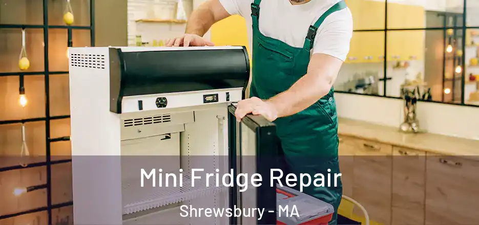 Mini Fridge Repair Shrewsbury - MA