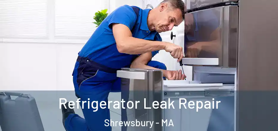 Refrigerator Leak Repair Shrewsbury - MA