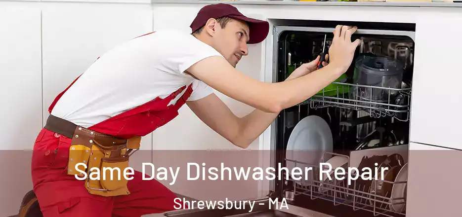 Same Day Dishwasher Repair Shrewsbury - MA