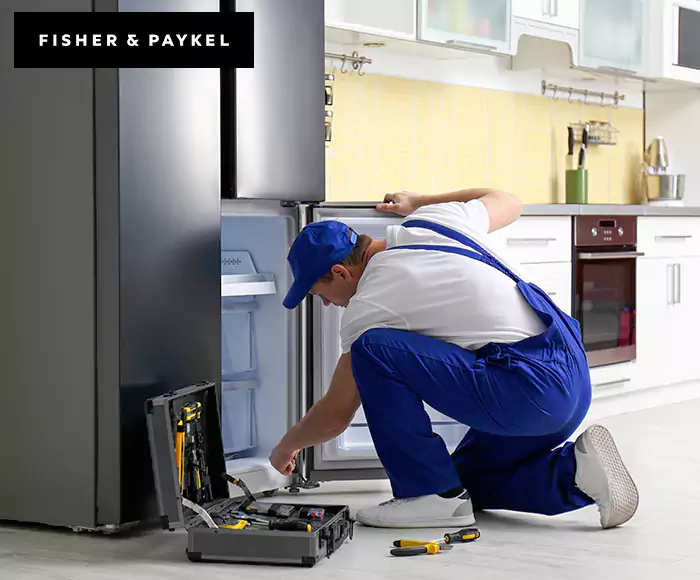 Top-Rated Fisher & Paykel Appliance Experts: Your Brand Specialist in Shrewsbury, MA