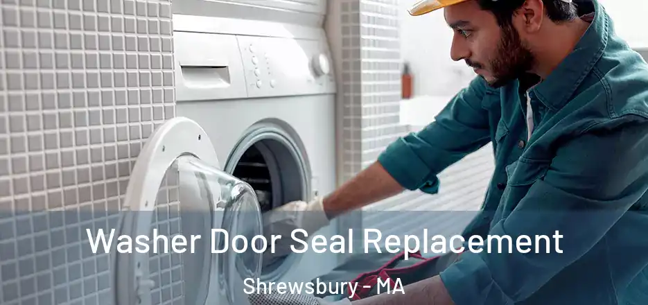 Washer Door Seal Replacement Shrewsbury - MA